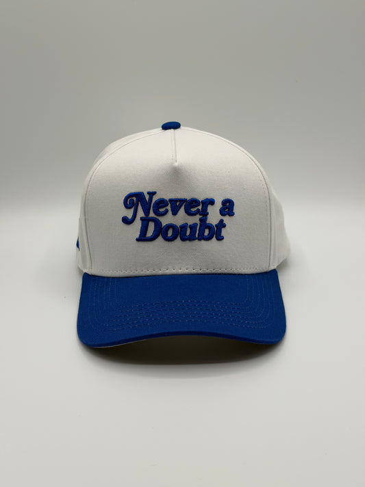 NAD Snapback - Blue / White
