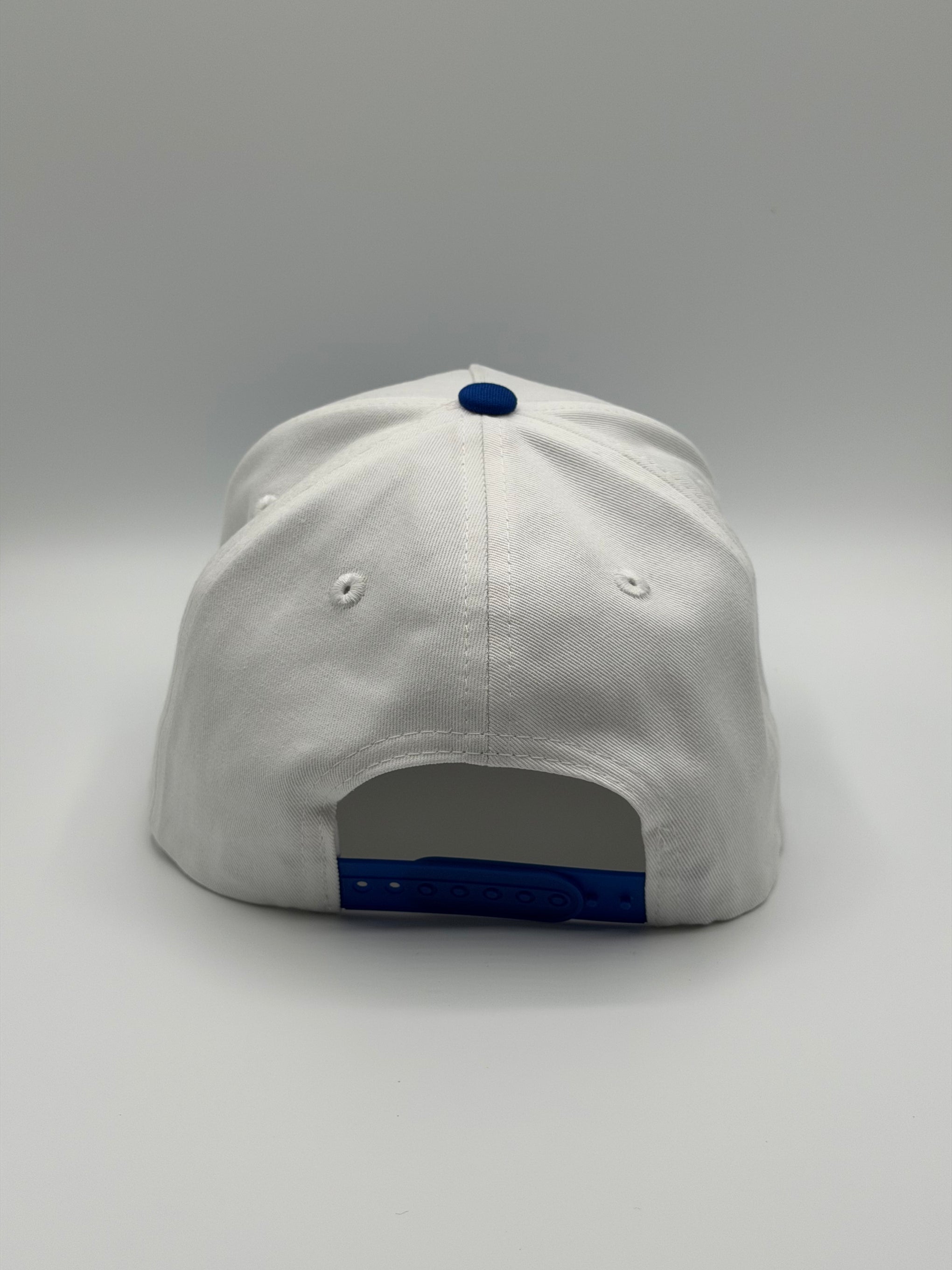 NAD Snapback - Blue / White
